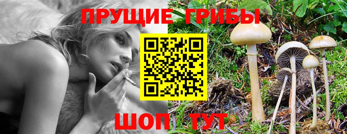 Ачинск  Галлюциногенные грибы Magic Shrooms  Вход с VPN 